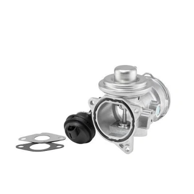 Bilde av WAHLER 7372D/1 EGR Ventil pneumatisk med tetning VOLKSWAGEN: Transporter 5, Multivan 5 (7HM, Bus, AUDI: A6 C5 Avant, A4 B6 Avant