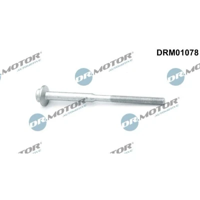 Bilde av DR.MOTOR AUTOMOTIVE DRM01078 skrue, innsprøytningsdyseholder VOLKSWAGEN: Touran I, Caddy 3, Tiguan AUDI: A4 B8 Allroad, Avant