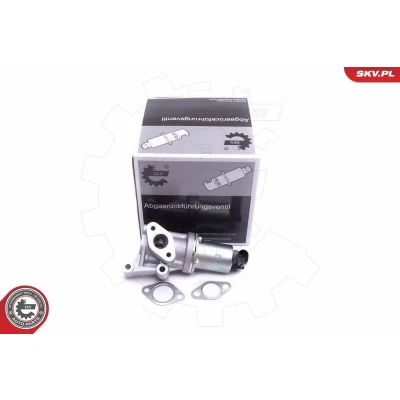 Bilde av EGR Ventil, hyundai,kia, 284102A300