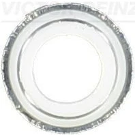 Bilde av REINZ 70 25792 00 Ventiltetning