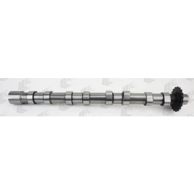 Bilde av AE CAM1018 Kamaksel inngang FORD: S Max Mk1, FOCUS 3 Turnier, KUGA 1, PEUGEOT: 3008 I