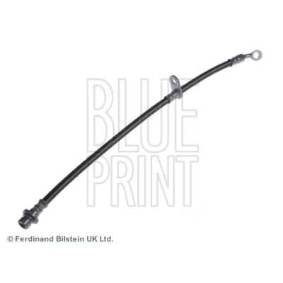 Bilde av BLUE PRINT ADH253205 Bremseslange høyre bakaksel 255 HONDA: ACCORD 8 Kombi
