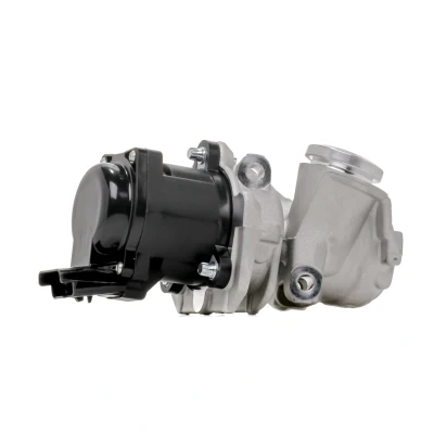Bilde av PIERBURG 7.24809.39.0 EGR Ventil elektrisk magnetventil med tetning VOLVO: V70 3, V50, S40 II, PEUGEOT: 3008 I, 307 Stasjonsvogn, Partner II Van