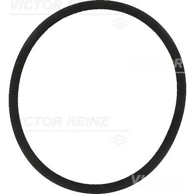 Bilde av REINZ 40 77557 00 Innsugspakning VOLKSWAGEN: Polo V Hatchback, IV Hatchback