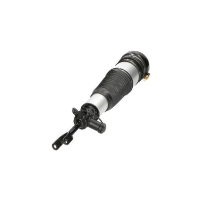 Bilde av Luftfjærbein KAVO PARTS SAS 10015