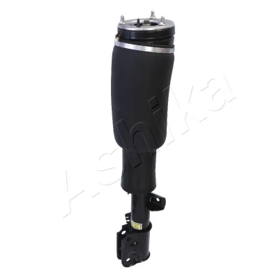 Bilde av Luftfjærbein, Framaksel høyre, land rover range iii, RNB000060, RNB000740