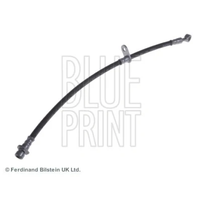 Bilde av BLUE PRINT ADH253204 Bremseslange venstre bakaksel 353 HONDA: ACCORD 8 Kombi
