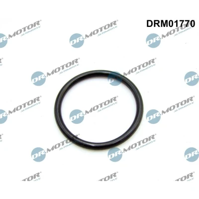 Bilde av DR.MOTOR AUTOMOTIVE DRM01770 Innsugspakning FIAT: Ducato III Van, Flatvogn lastebil / Chassis