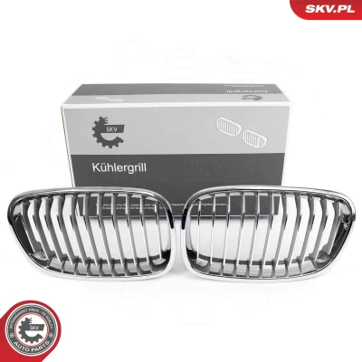 Bilde av ESEN SKV 66SKV015 Radiatorgitter krom BMW: 1 Hatchback