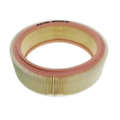 Bilde av BLUE PRINT ADR162202 Luftfilter 91 265 Filterinnsats RENAULT: Kangoo I, I Express, CLIO 2, DACIA: Sandero