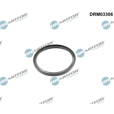 Bilde av DR.MOTOR AUTOMOTIVE DRM03306 Tetningsring, laseluftslange VOLKSWAGEN: Transporter 5 Bus, Multivan (7HM, Passat B6 Variant, AUDI: A3 Sportback