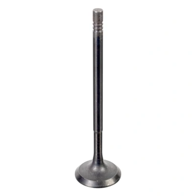 Bilde av FEBI BILSTEIN 176538 Innløpsventil 27
