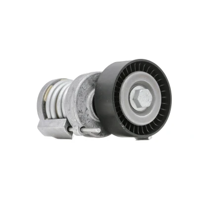 Bilde av INA 534 0123 20 Spennarm, kilerem med ribber VOLKSWAGEN: Caddy 3, New Beetle Hatchback, Golf 5, SKODA: Octavia 2 Combi