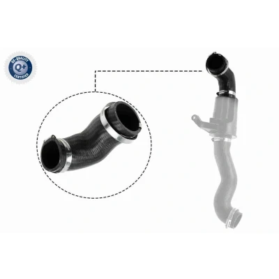 Bilde av VAICO V20 3626 Radiatorslange MINI: Clubman