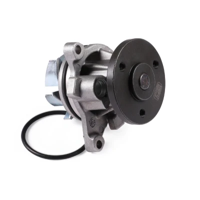 Bilde av HEPU P251 Vannpumpe med tetning mekanisk VOLVO: V70 3, V60 I, V50, FORD: FOCUS MONDEO 4 Turnier, S Max Mk1, JAGUAR: XJ Sedan