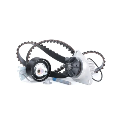 Bilde av INA 530 0335 30 vannpumpe + Registerreimsett med PEUGEOT: 207 Hatchback, 307 206 Hatchback