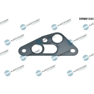Bilde av DR.MOTOR AUTOMOTIVE DRM01343 Pakninger motorside