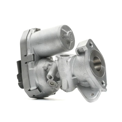 Bilde av DELPHI EG10399 12B1 EGR Ventil med tetning FORD: Transit Mk6 Van, Flatvogn lastebil/Chassis, Minibuss