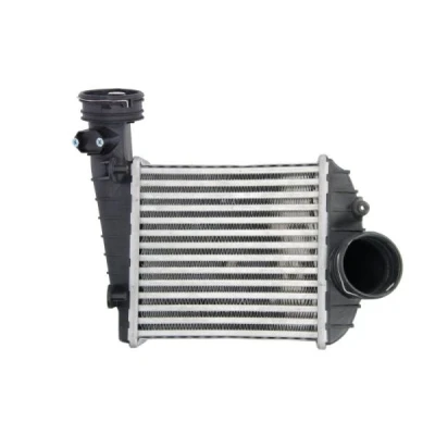 Bilde av Intercooler THERMOTEC DAW013TT