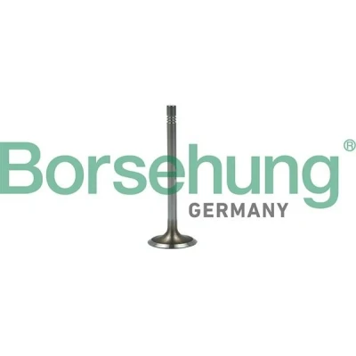 Bilde av Borsehung B19022 Innløpsventil VOLKSWAGEN: Polo V Hatchback