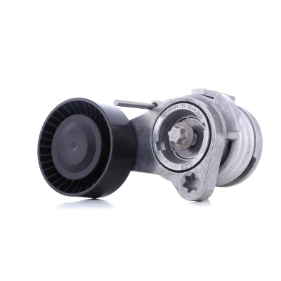 Bilde av INA 534 0252 10 Spennarm, kilerem med ribber BMW: 5 Touring, 1 Hatchback, X5