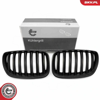 Bilde av ESEN SKV 66SKV278 Radiatorgitter svart matt BMW: X5