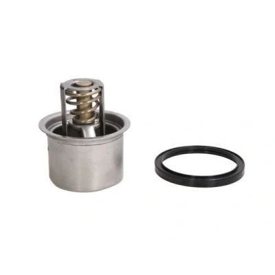 Bilde av THERMOTEC D2RV004TT Termostat 82 med tetning