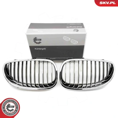 Bilde av ESEN SKV 66SKV168 Radiatorgitter krom BMW: 5 Touring, Sedan