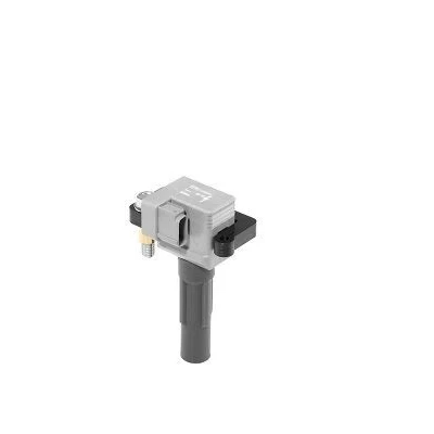 Bilde av Tennspole (coil) BERU ZSE213