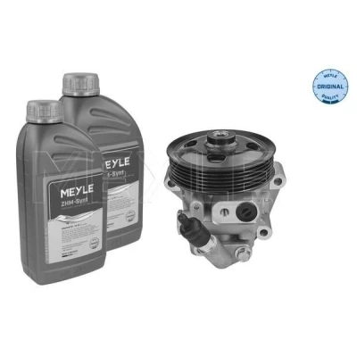 Bilde av MEYLE 714 631 0035/S Hydraulikkpumpe hydraulisk med oljemengde for oljespyling FORD: Galaxy Mk2 MPV, S Max Mk1, MONDEO 4 Turnier
