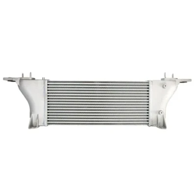 Bilde av THERMOTEC DA1015TT Ladeluftkjøler NISSAN: Pathfinder 3, NP300 Navara Pick up