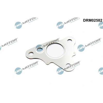 Bilde av Pakkning, EGR ventil rør Dr.Motor Automotive DRM02582