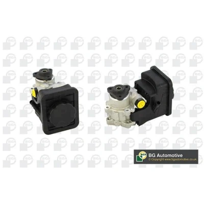 Bilde av Hydraulikkpumpe, styring, bmw 3 [e46], touring 1095155, 1095748, 1095845, 32411095155, 32411095748, 32411095749, 32416750938,