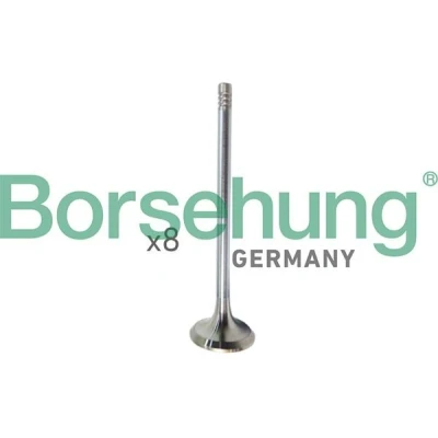 Bilde av Borsehung B10322 Innløpsventil VOLKSWAGEN: Polo V Hatchback