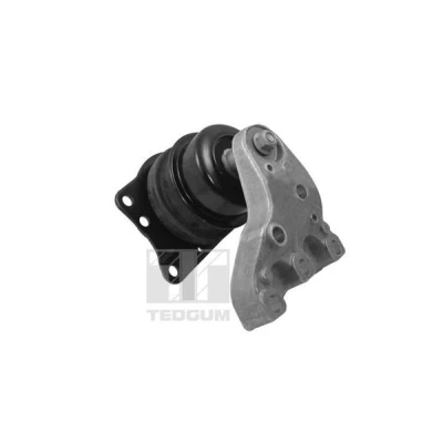 Bilde av TEDGUM 00729417 Motorfeste foran høyre hydrolager med takgrind VOLKSWAGEN: Polo IV Hatchback, SKODA: Roomster