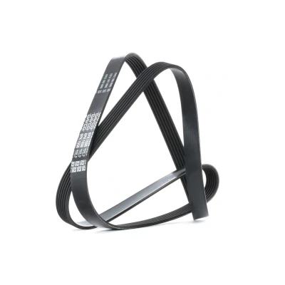Bilde av DAYCO 6PK1558 Kileribberem 1558,0 6 BMW: 5 Touring, Sedan, 7, PEUGEOT: Partner II Van, 206 Hatchback, I Van