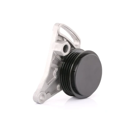 Bilde av FEBI BILSTEIN 11341 Strammerull AUDI: A4 B6 Avant, B5 Sedan, VOLKSWAGEN: Passat Stasjonsvogn, GP Stasjonsvogn
