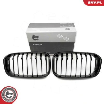 Bilde av ESEN SKV 66SKV020 Radiatorgitter glanset, svart BMW: 1 Hatchback