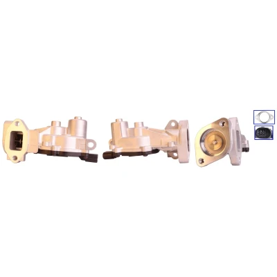 Bilde av DRI 717730152 EGR Ventil elektrisk med tetning OPEL: Meriva B, Corsa D Hatchback