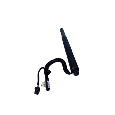 Bilde av MAXGEAR 12 2555 Gassfjær, bunn (bagasje / lasterom)