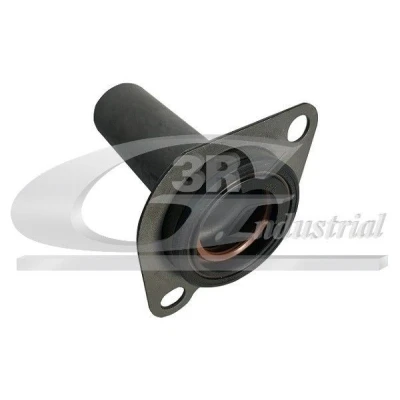 Bilde av 3RG 24218 Føringshylse, clutch CITROËN: Jumper I Flatvogn lastebil/Chassis