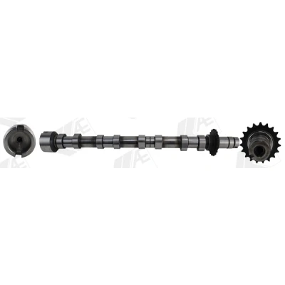 Bilde av AE CAM1031 Kamaksel Eksosside FORD: KUGA 2, FOCUS 3 Turnier, PEUGEOT: 3008 I