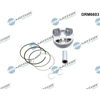 Bilde av DR.MOTOR AUTOMOTIVE DRM6603 Motorstempel 79 med stempelringer FORD: FOCUS 3