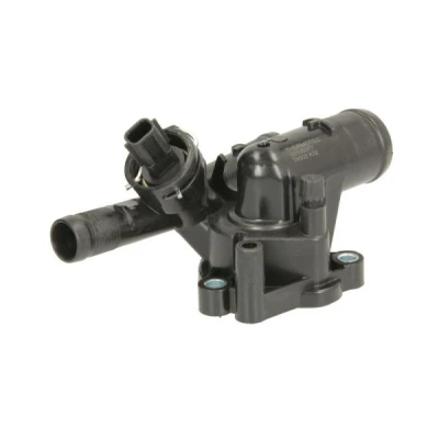 Bilde av THERMOTEC D21003TT Termostat 81 med tetning sensor kapsling