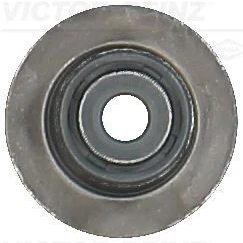 Bilde av REINZ 70 54206 00 Ventiltetning