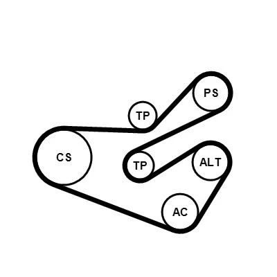 Bilde av CONTITECH 6PK1740K3 Kileribberem PEUGEOT: 206 Hatchback