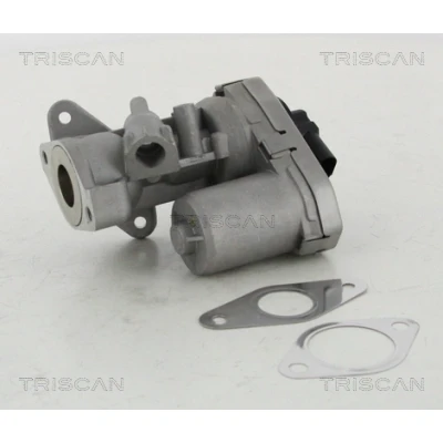 Bilde av TRISCAN 8813 10002 EGR Ventil elektrisk med tetning FORD: Transit Mk6 Van, Minibuss, Flatvogn lastebil/Chassis