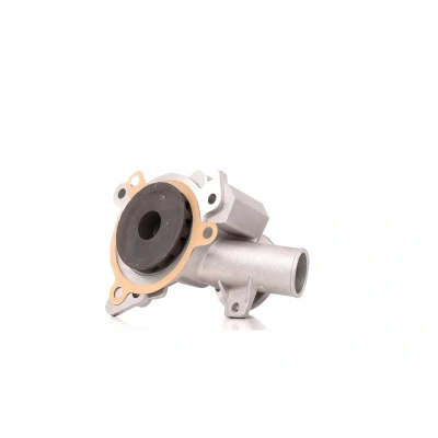 Bilde av INA 538 0163 10 Vannpumpe for vifteremdrift BMW: 3 Sedan, 5 Touring
