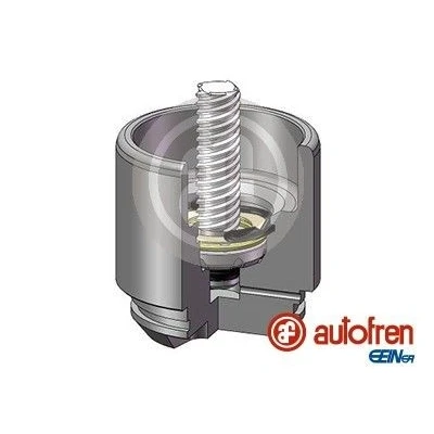 Bilde av AUTOFREN SEINSA D025691RK Stempel, bremseklave 54 bakaksel Bosch FORD: Transit Mk6 Van