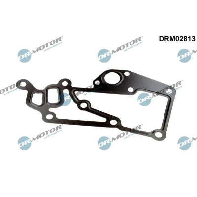 Bilde av DR.MOTOR AUTOMOTIVE DRM02813 Pakninger